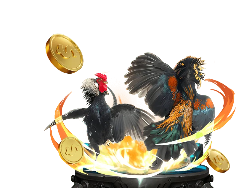 Tham gia cá cược df999